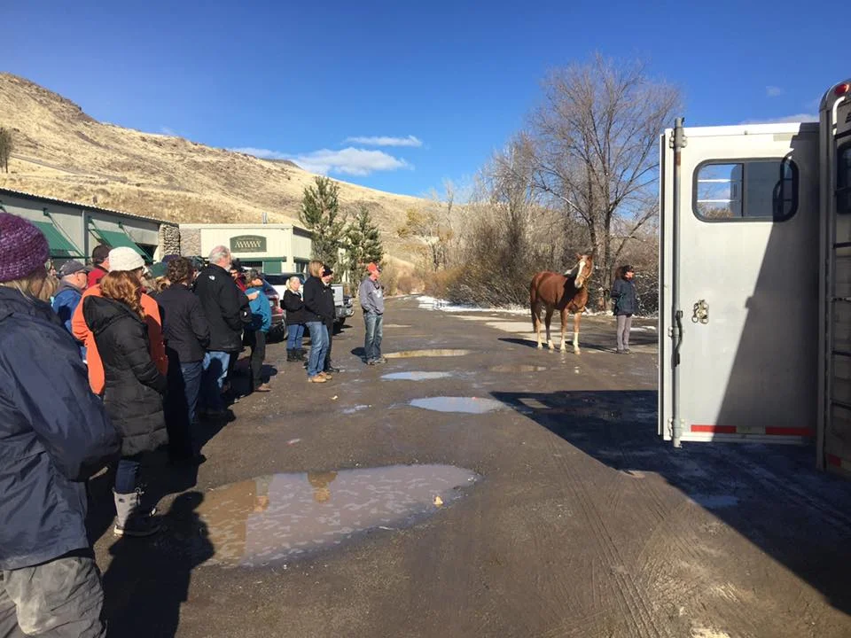 First Responders Horse Handling &amp; Safety Clinic