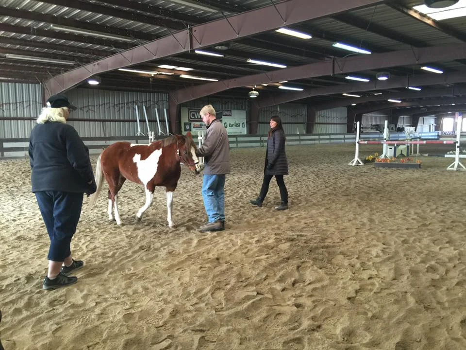 First Responders Horse Handling &amp; Safety Clinic