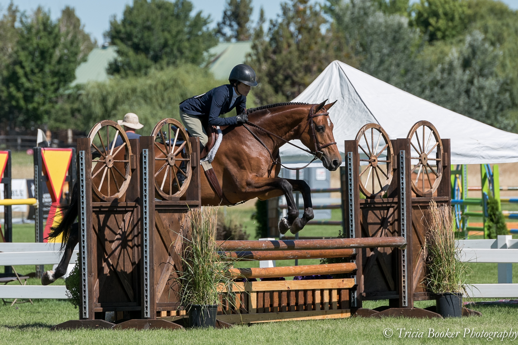 A show hunter and rider turned out beautifully for competition.