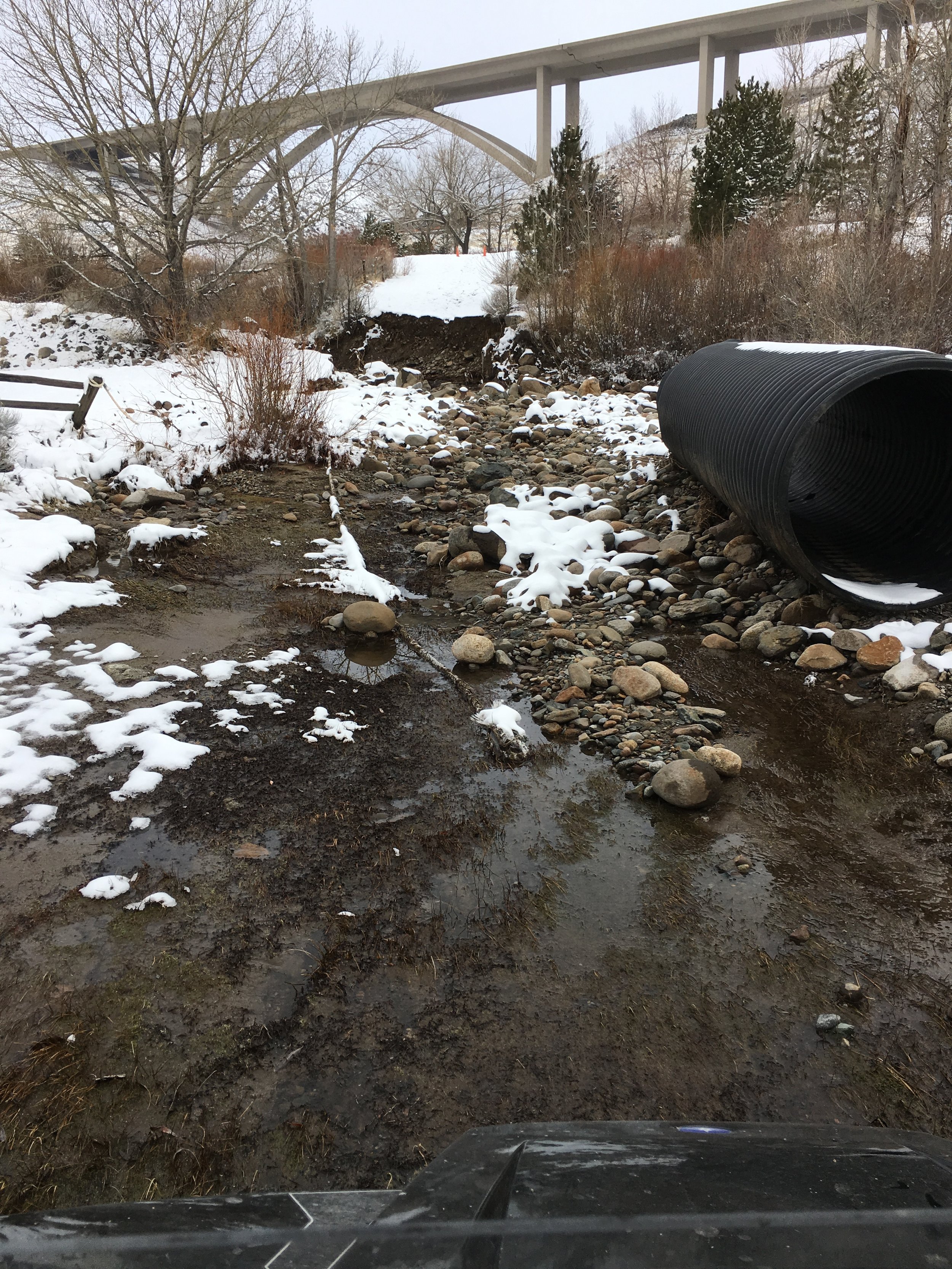 Maplewood Flood Damage Update — Maplewood