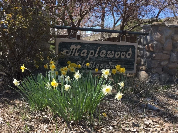 Happy Spring!