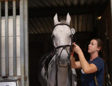 Atlanta Horse Connections Connects with Maplewood