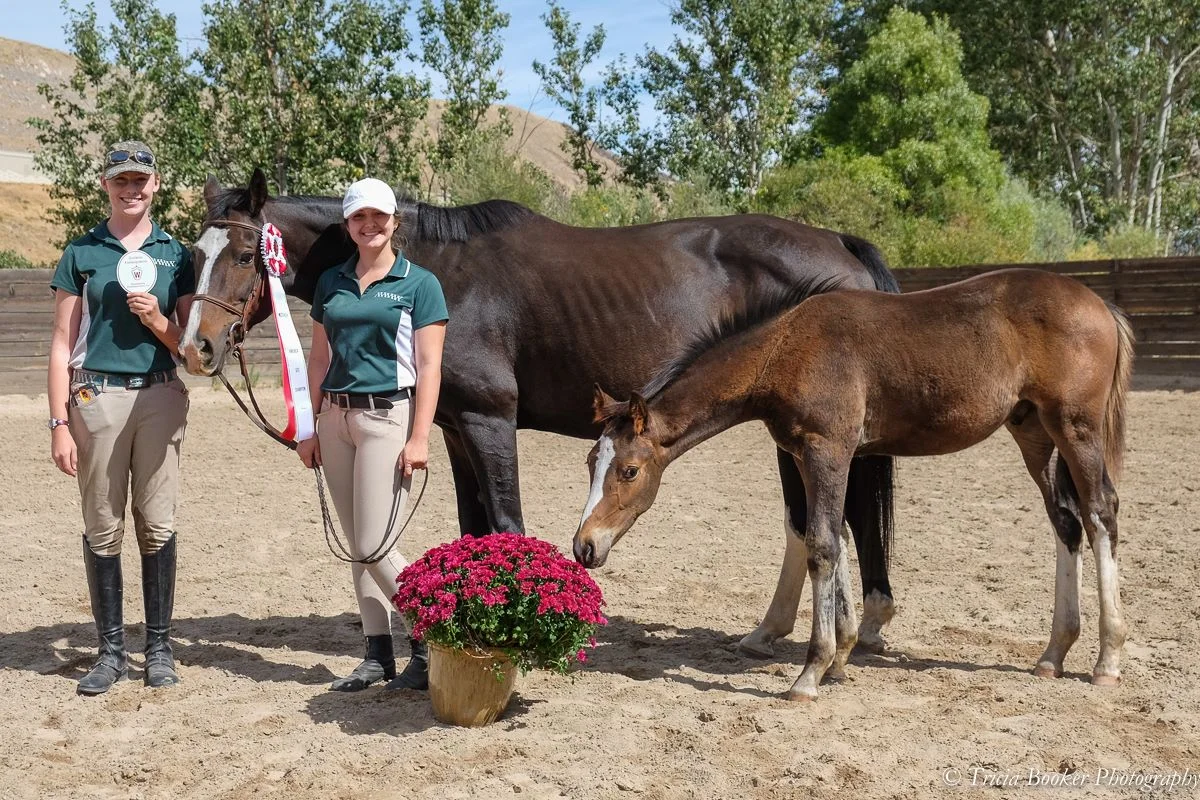 Maplewood's Outlander Named Westfalen Site Champion