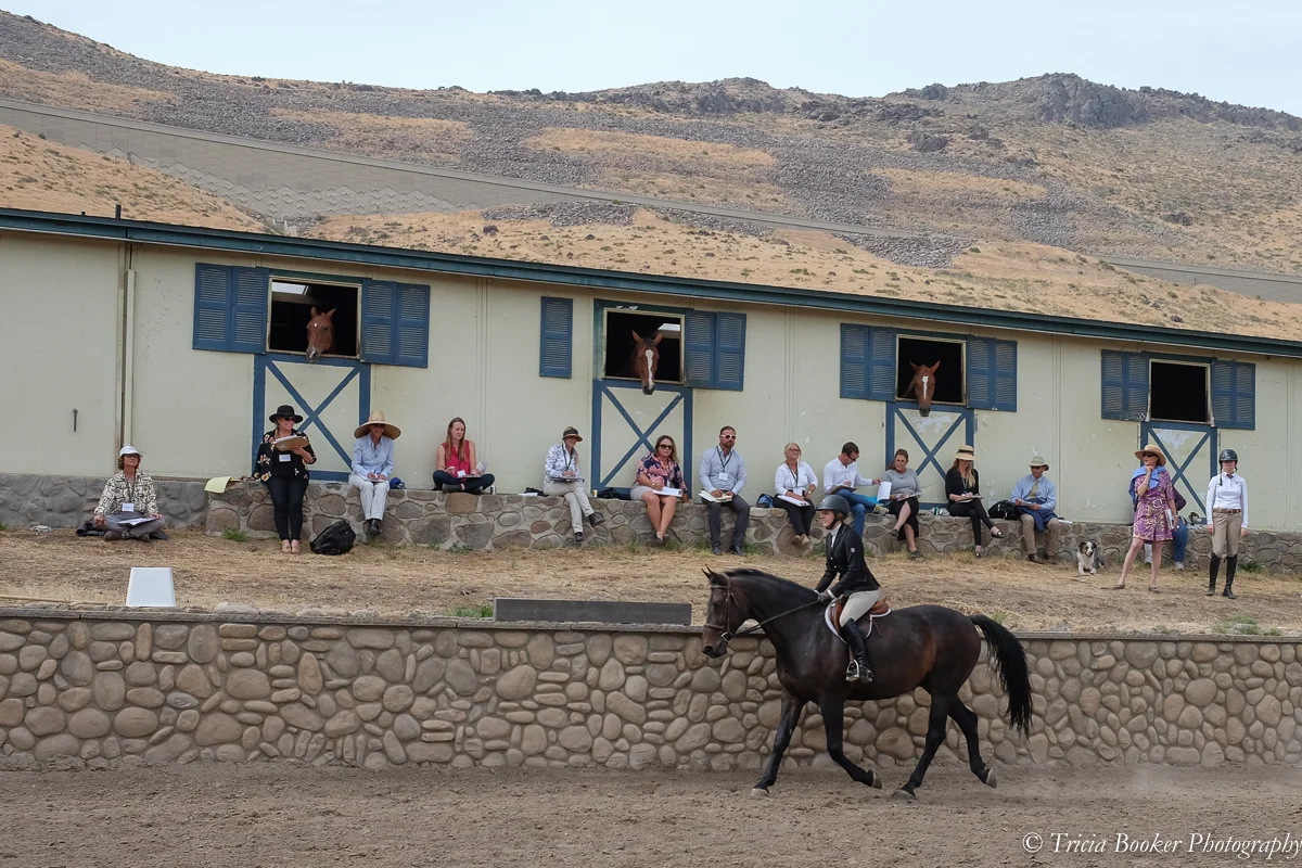 Maplewood Annual Awards