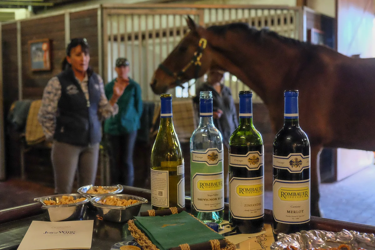 Fall Adult Ride &amp; Whine Camp