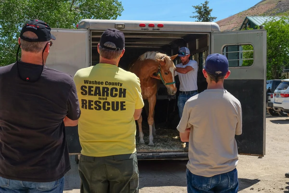 First Responders Horse Handling & Safety Clinic Highlights Education
