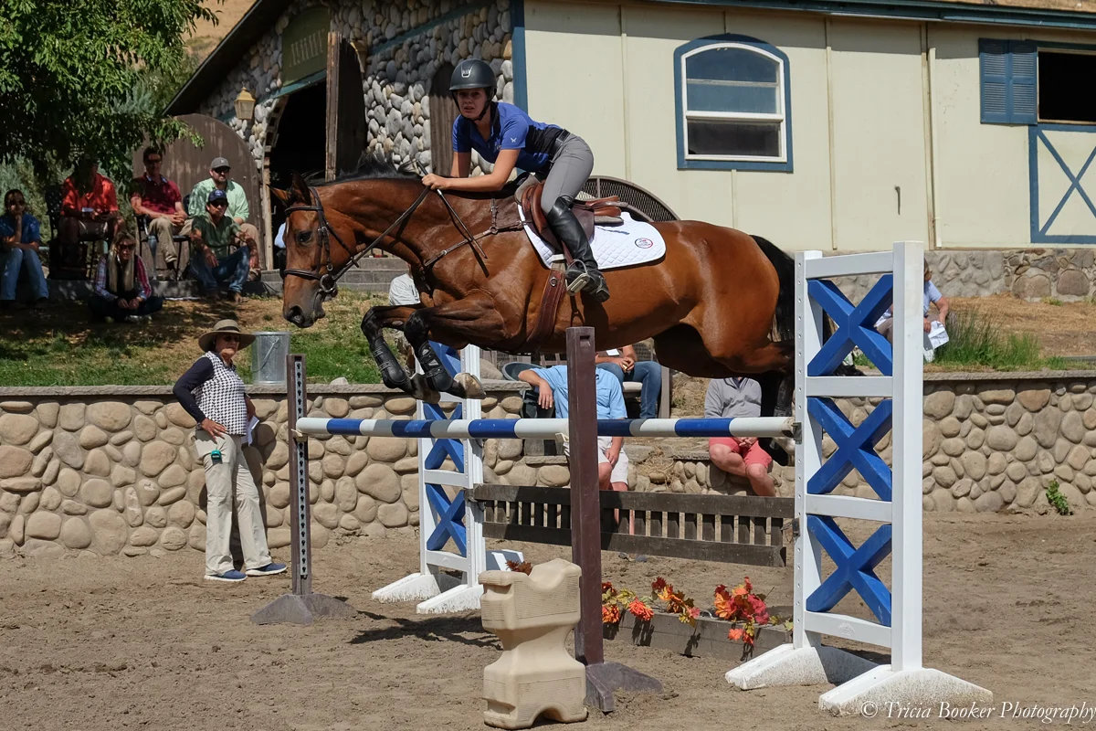 Course Design School