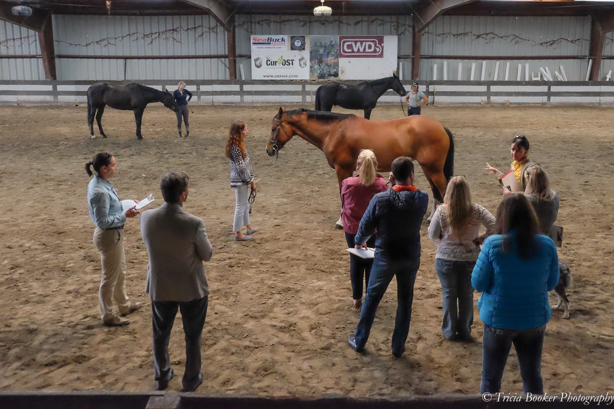 Judge's School Deposit