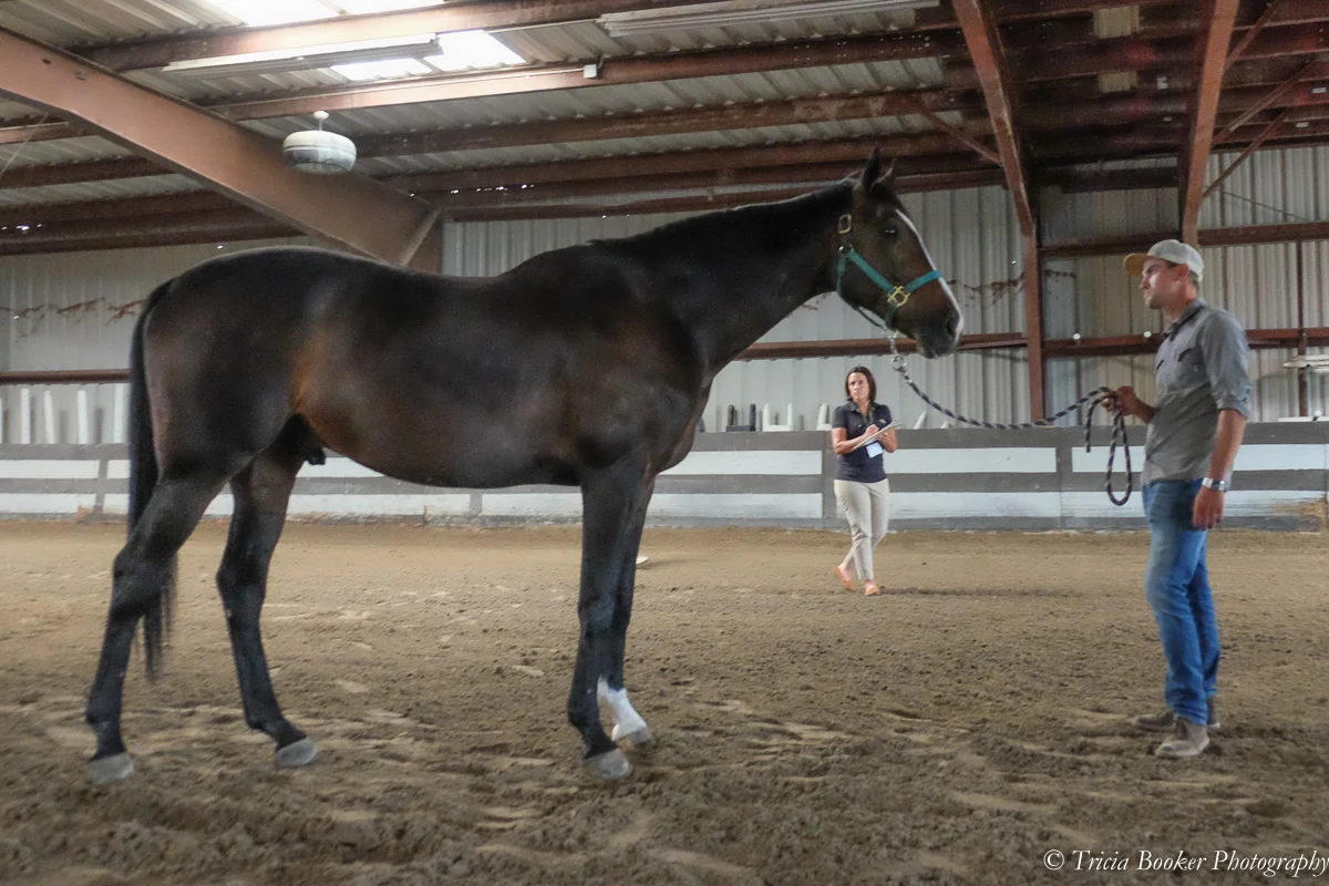 Conformation Evaluation