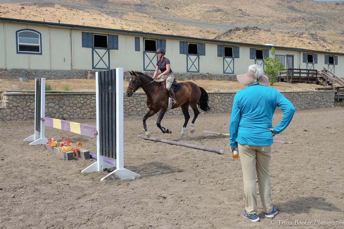 Young Horse Trainer School with Horse