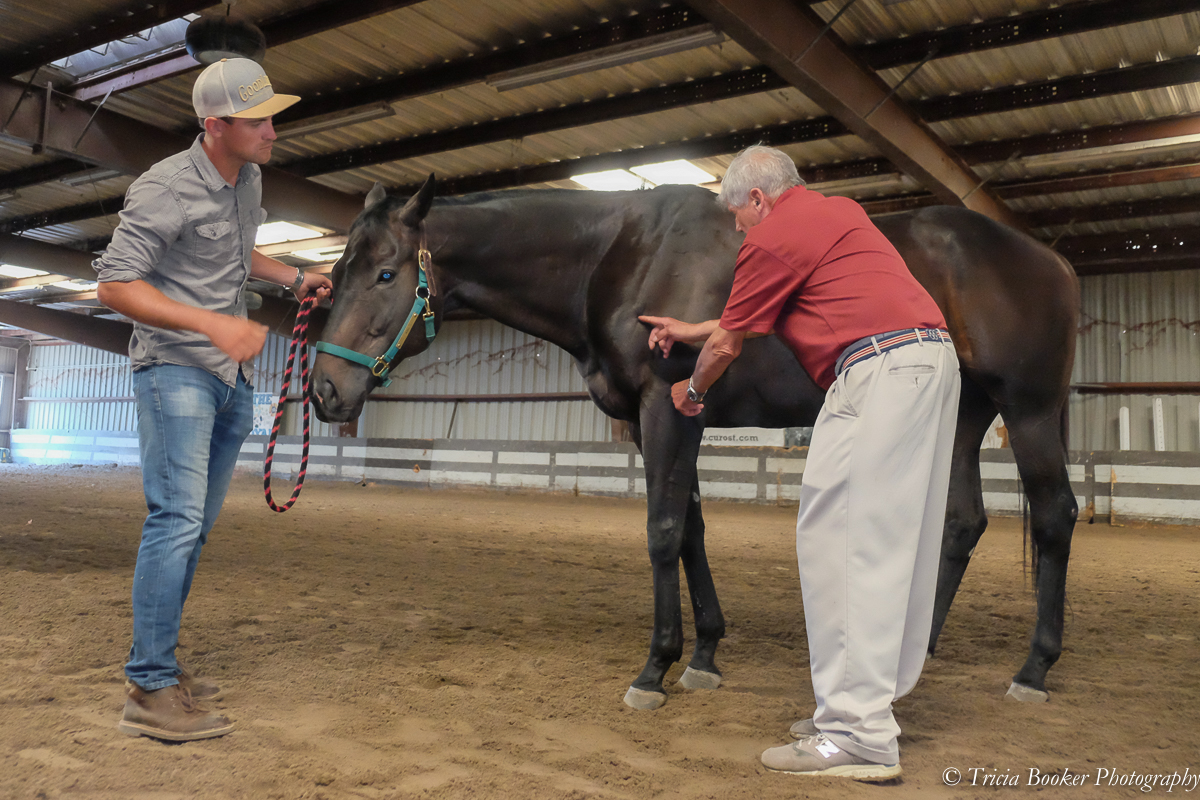 Show Jumping Hall of Fame member and veterinarian Danny Marks teaches during the Sport Horse Conformation Seminar.