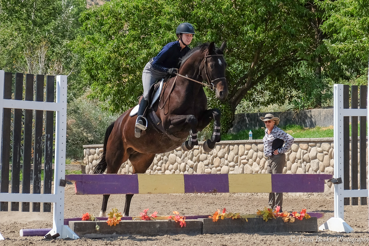 Olympic Games veteran course designer Linda Allen is a clinician for the Young Horse Trainer School and Course Design School.
