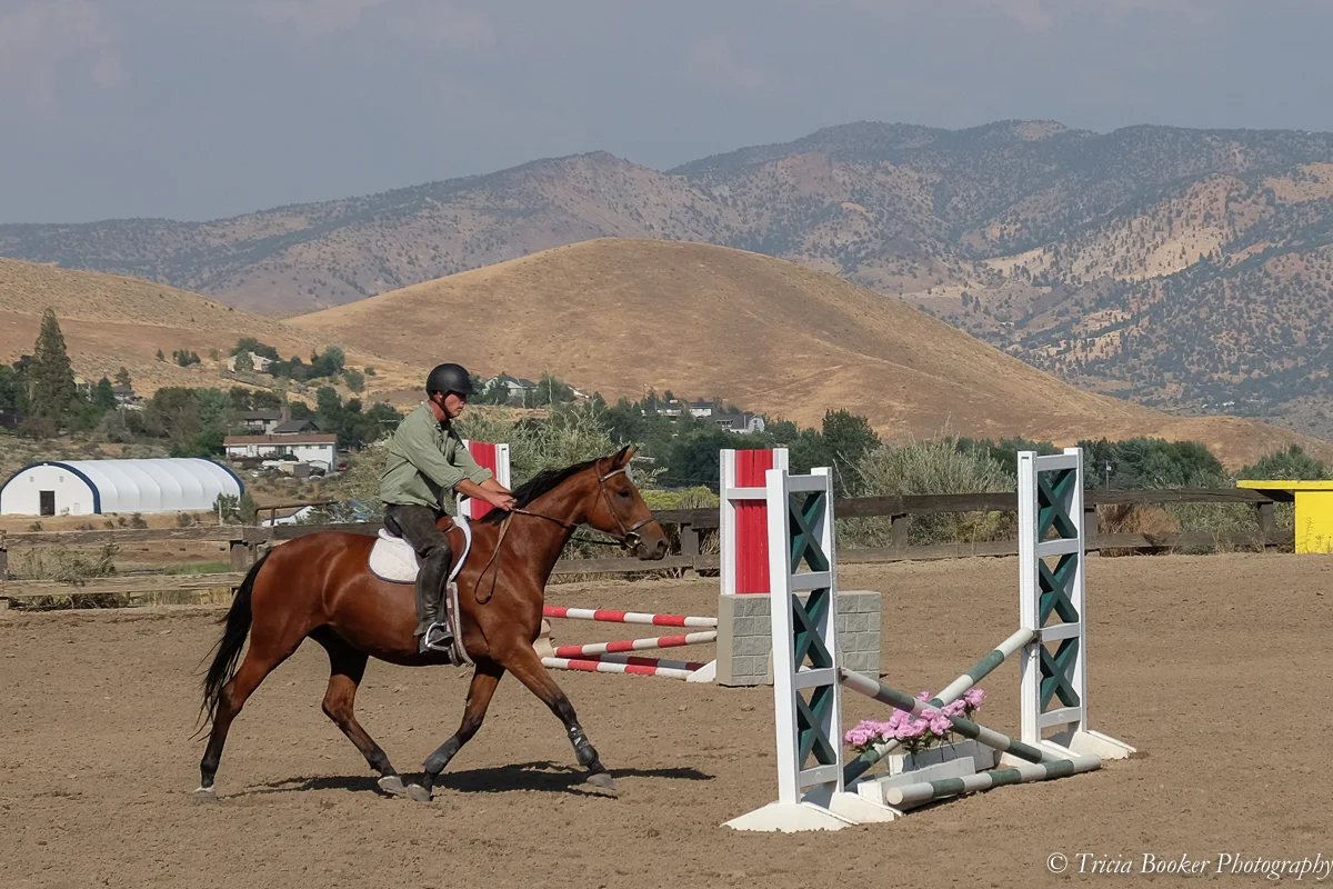 Maplewood Stables Announces Super September Educational Clinics