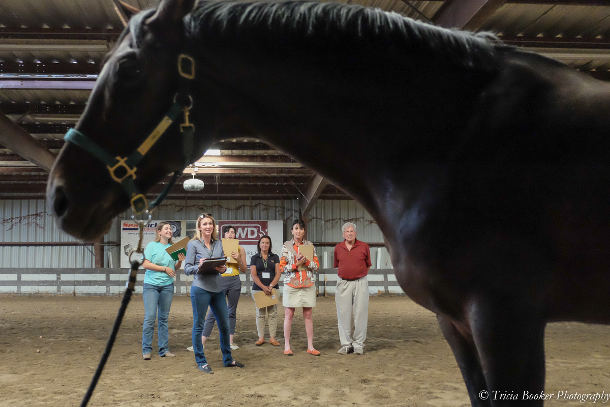 Julie Winkel and Danny Marks at the Sport Horse Conformation Seminar