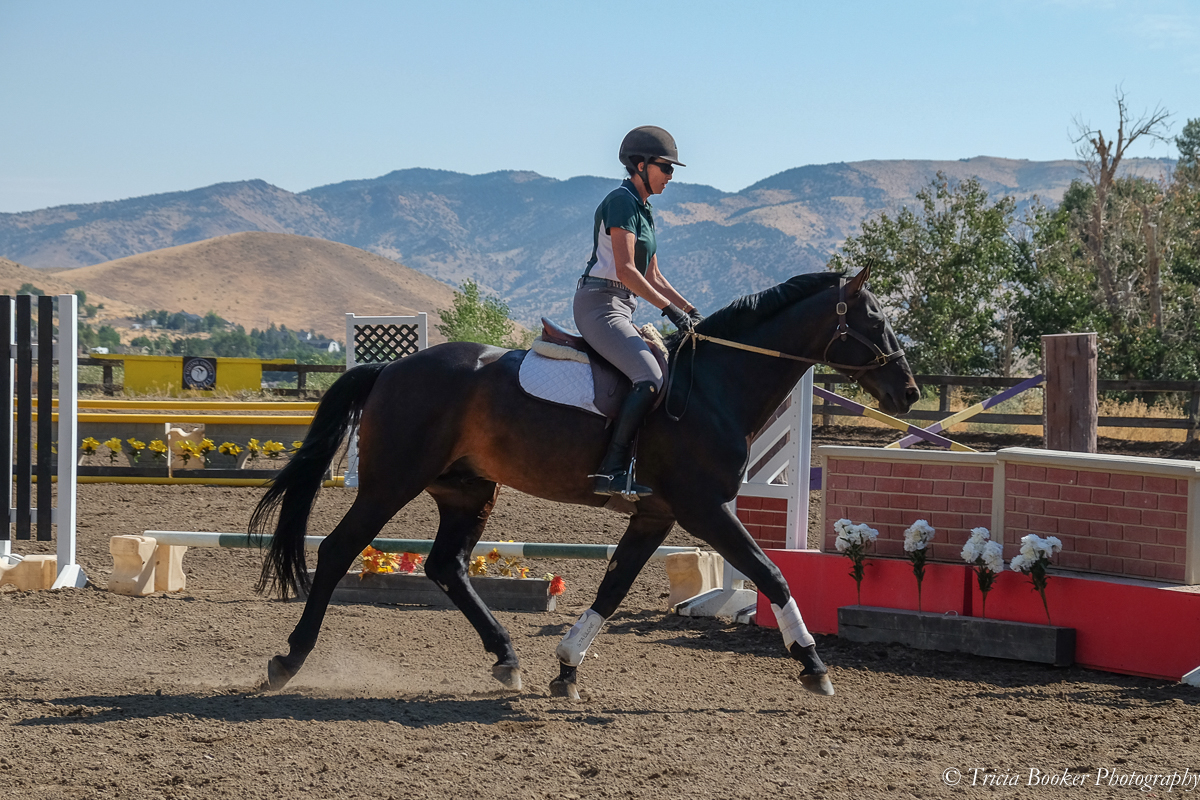 Julie Winkel and Stallone at the Young Horse Trainer School