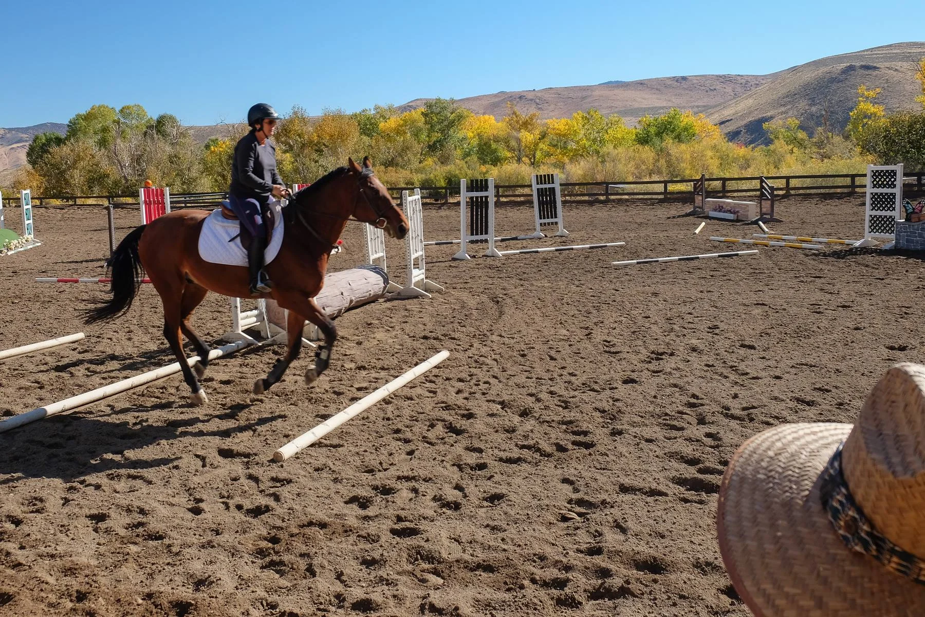 Adult Horse Camp — Maplewood
