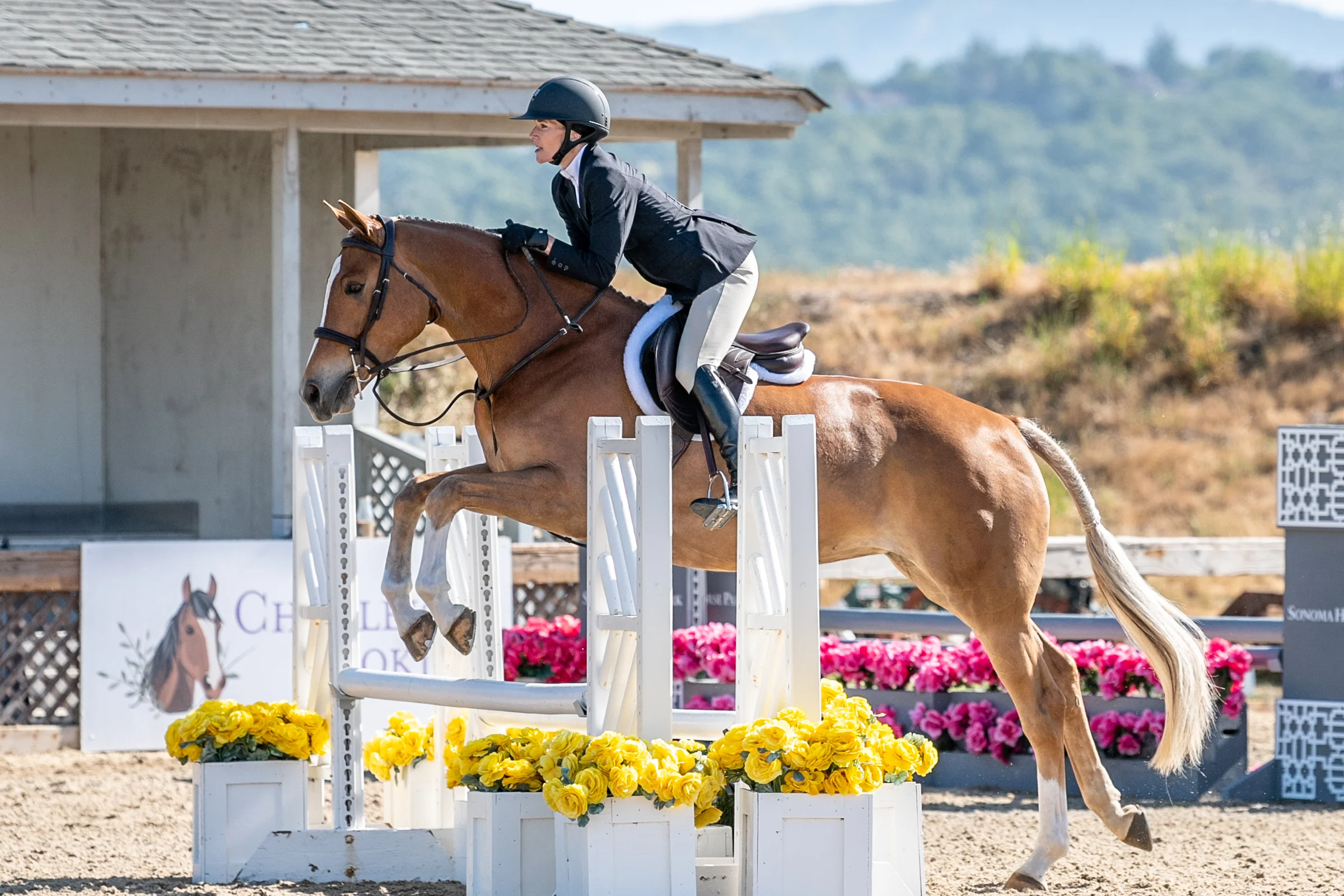 Lisa Petersen-Trujillo and Outspoken at Sonoma