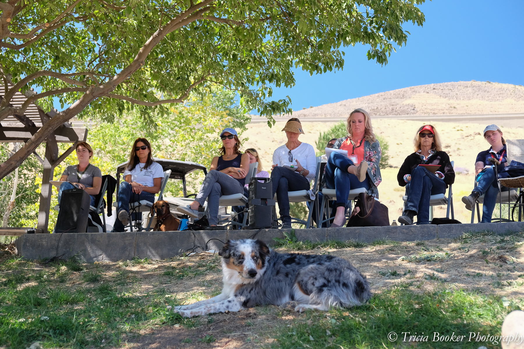 New Year's Clinic Auditor