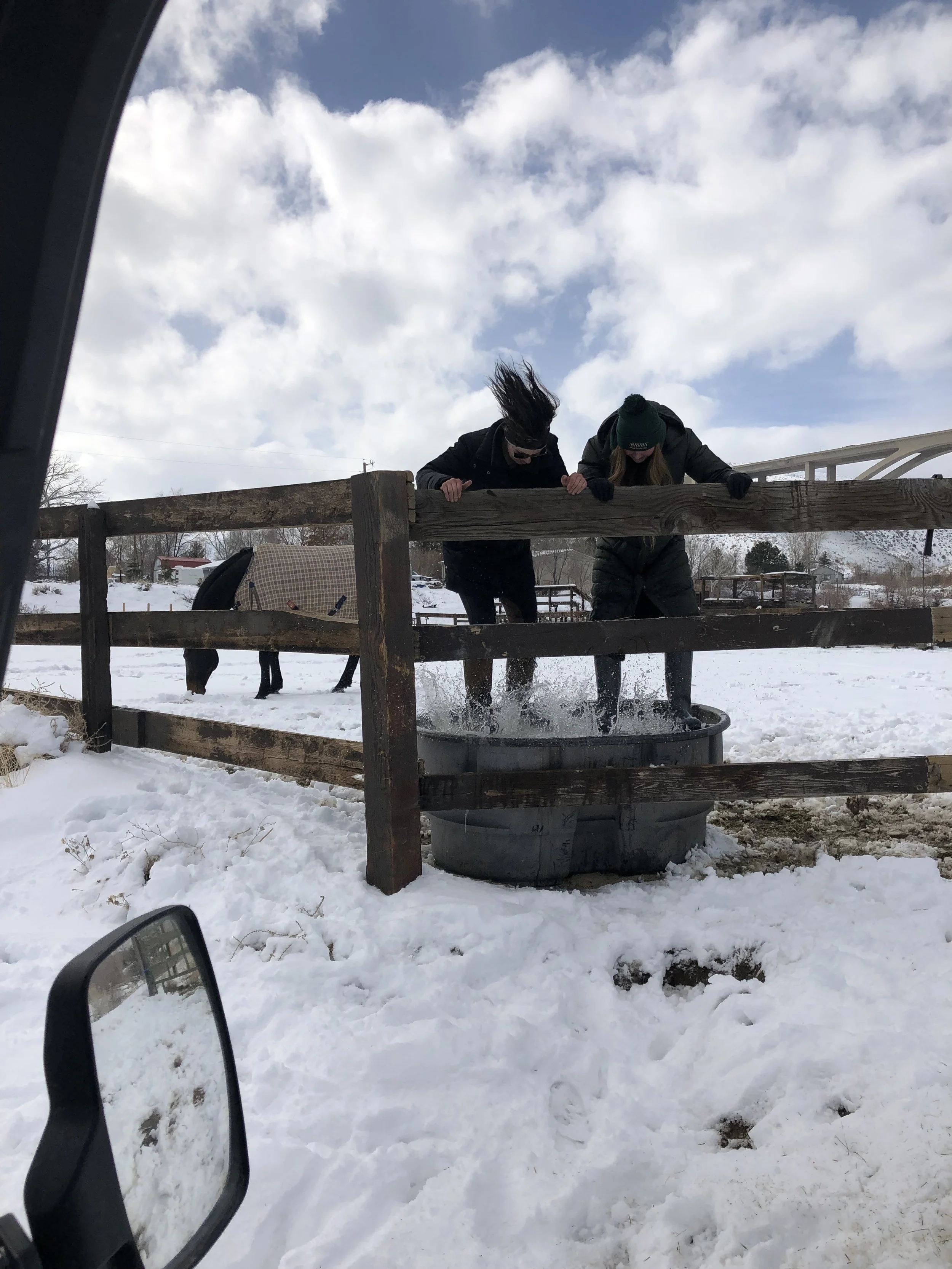 A Snowy But Fun February