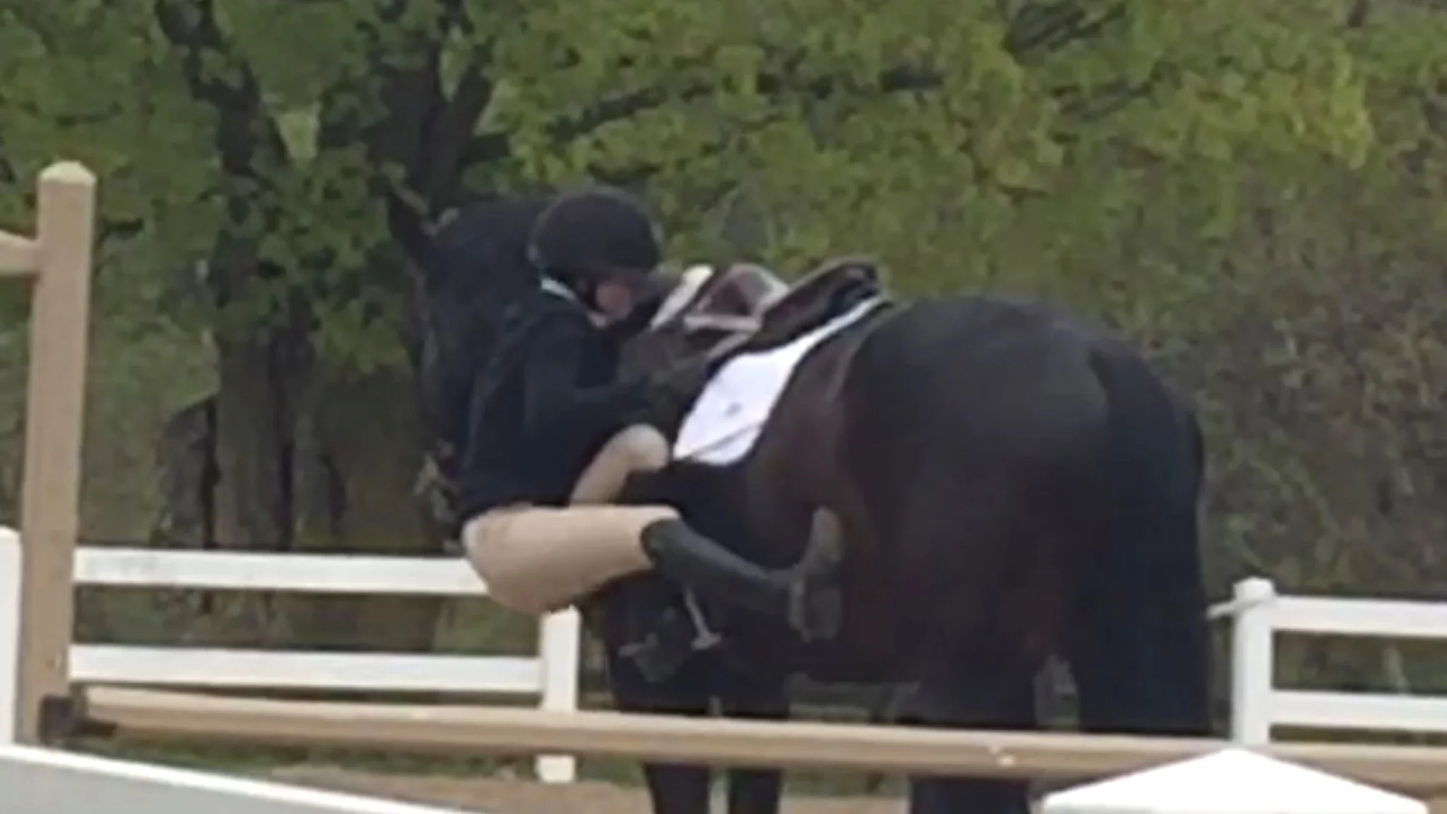 Lilly attempting to remount after walking the course in the Equitation section!
