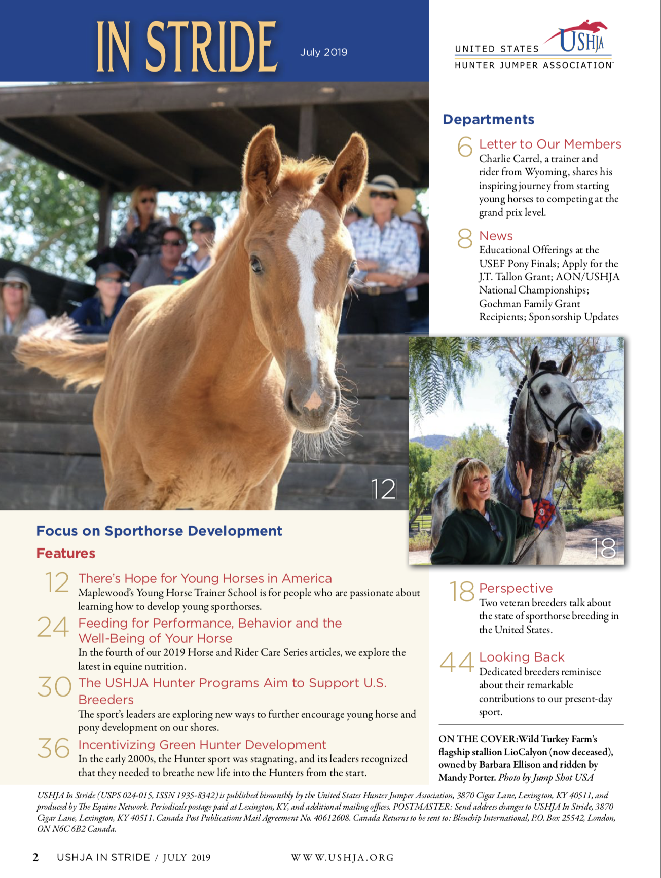 Young Horse Trainer School Featured in USHJA In Stride