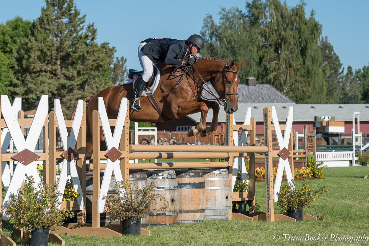 Golden Power W and Andrew Jayne finished seventh in the $10,000 USHJA International Hunter Derby at the 2019 Oregon High Desert Classic.