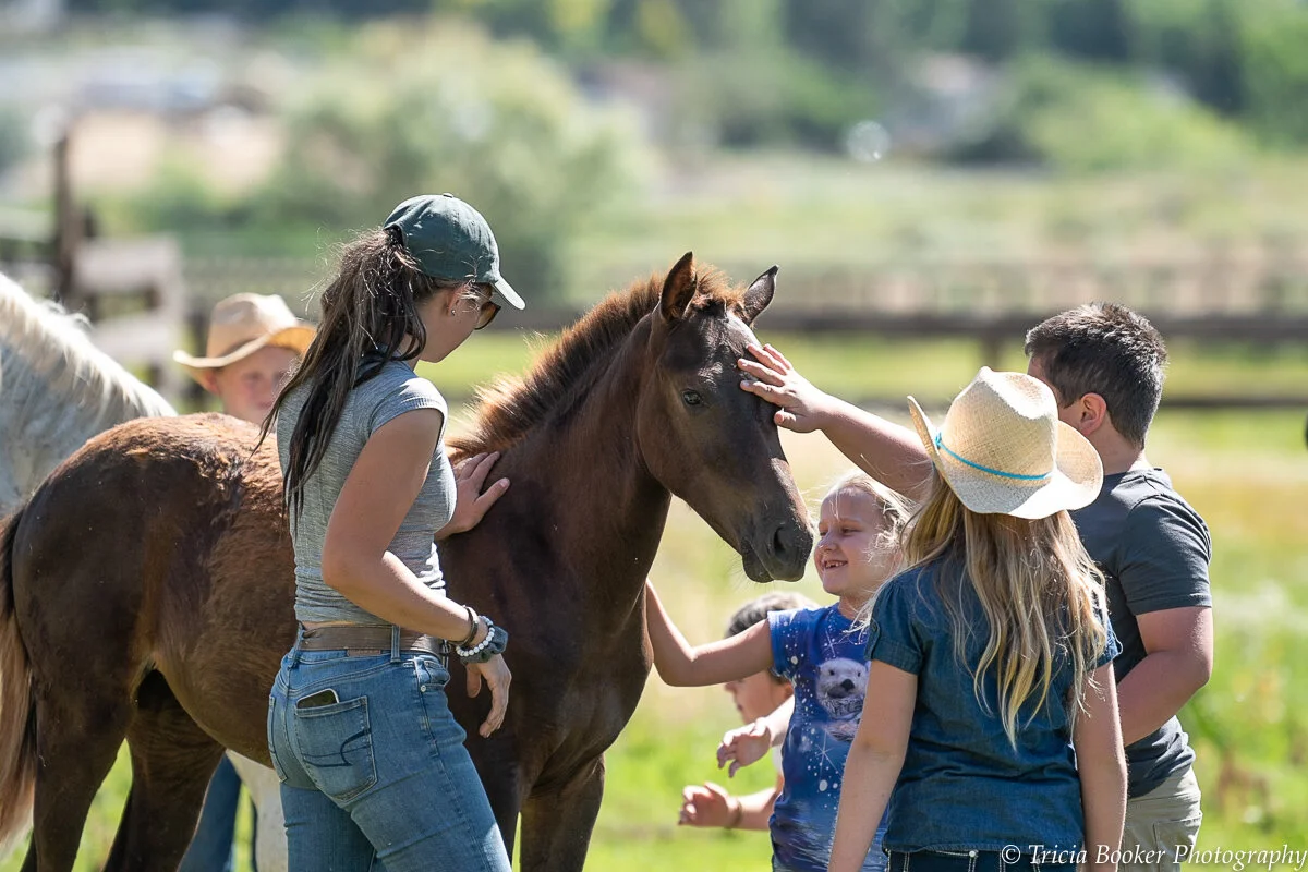 Maplewood Children's Summer Camp II