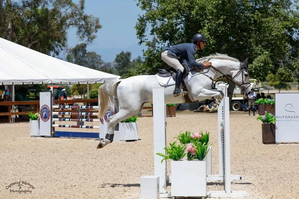 Maplewood Returns to the Show Ring at Temecula
