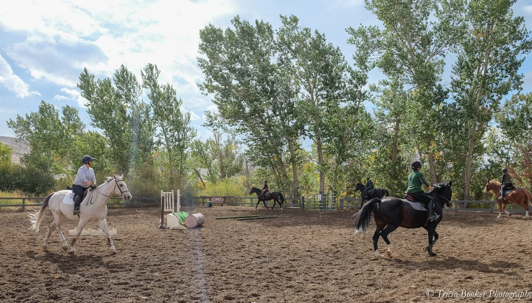Scenes From Fall Adult Camp