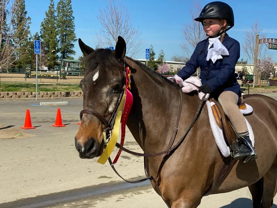 Winter Classics Success and Updates
