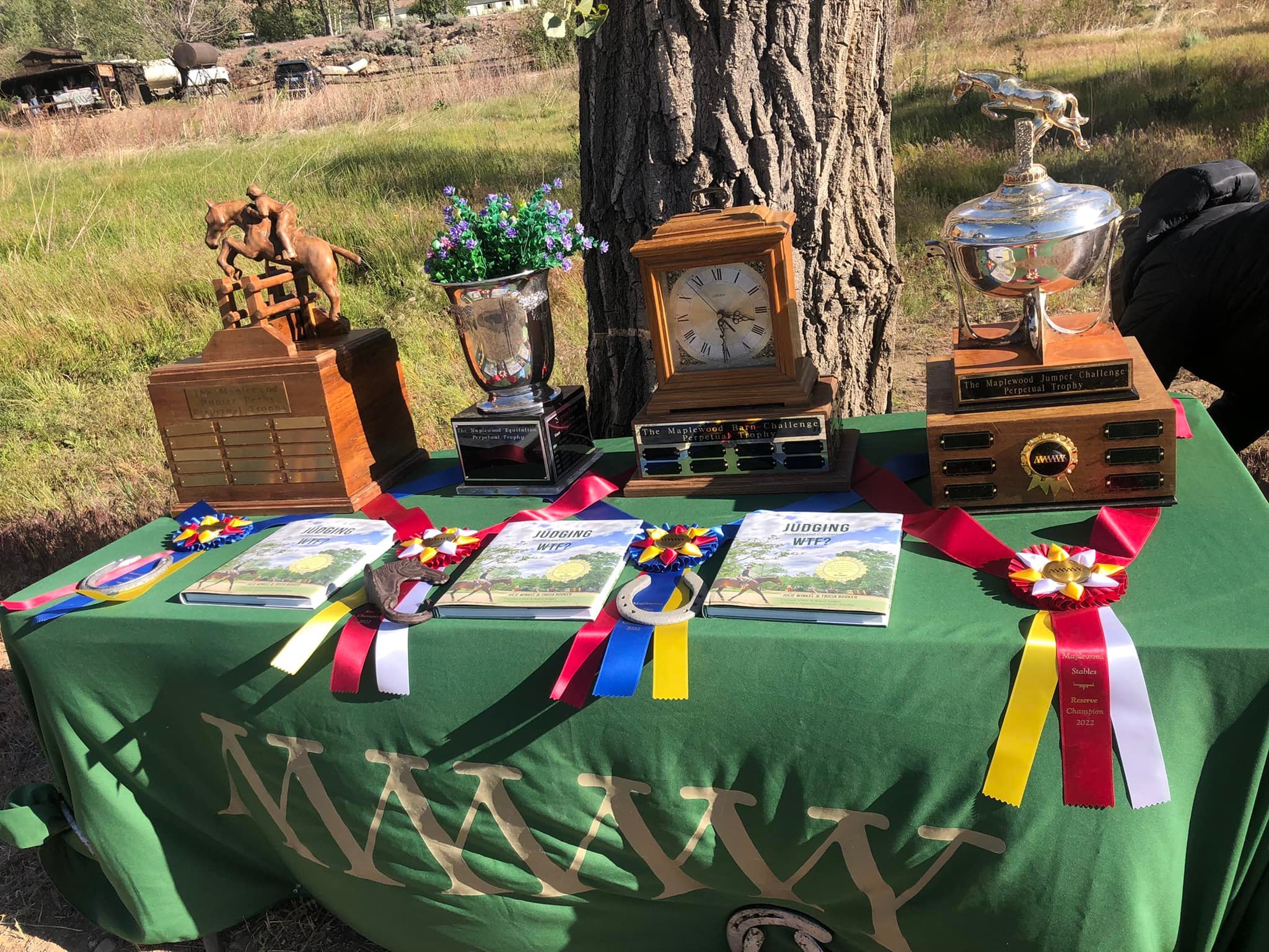 Maplewood SNHSA Show Returns