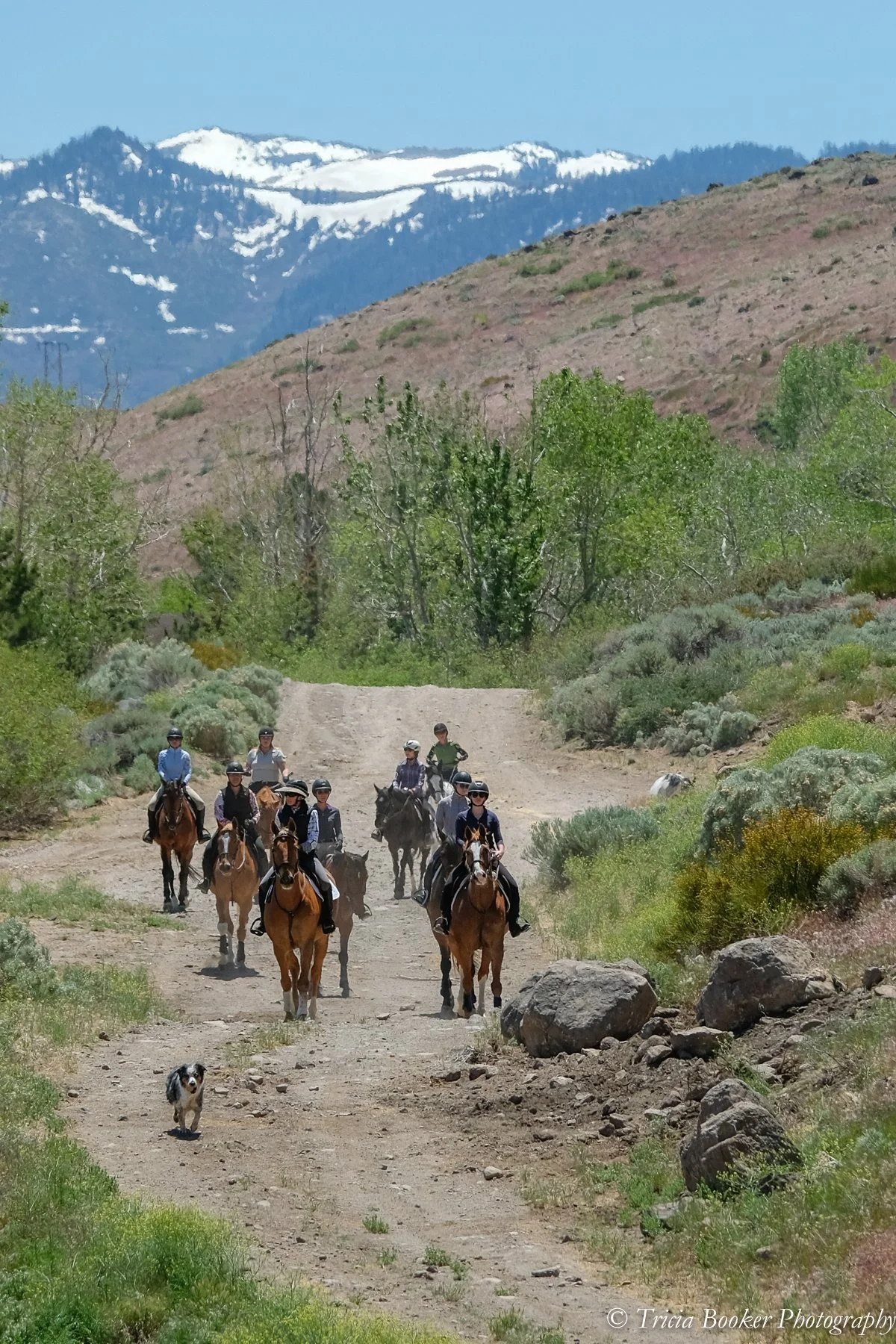 Spring Adult Horsemanship Camp