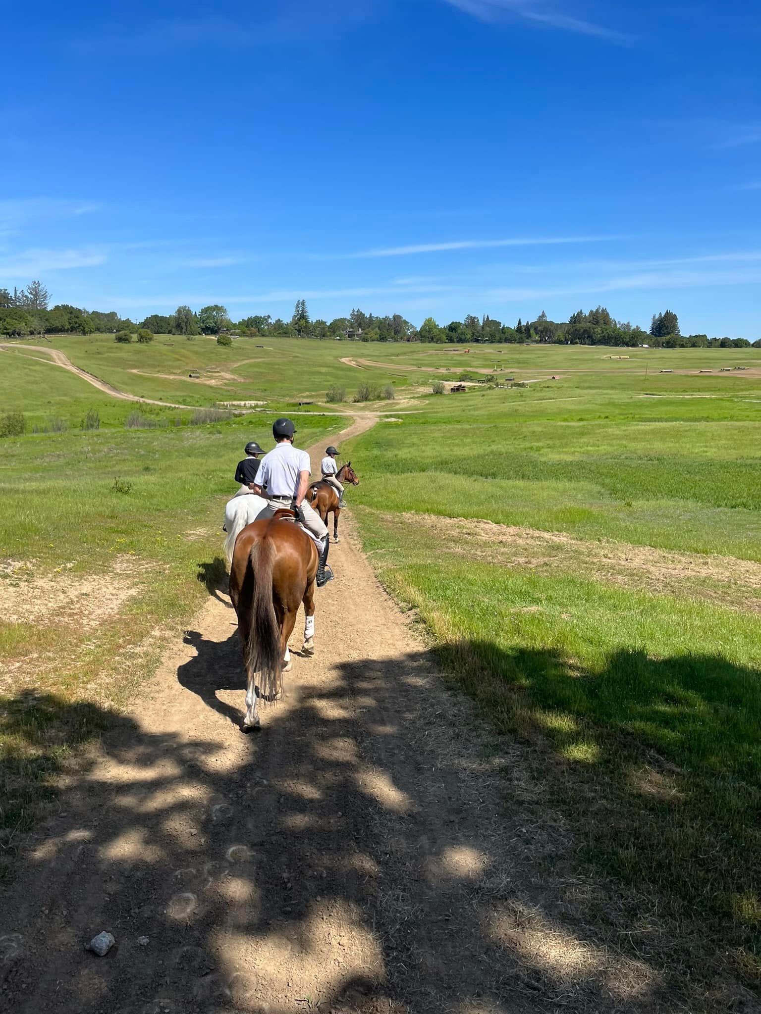 Just one of the many reasons we love showing at West Palms Events at The Horse Park at Woodside 🥰