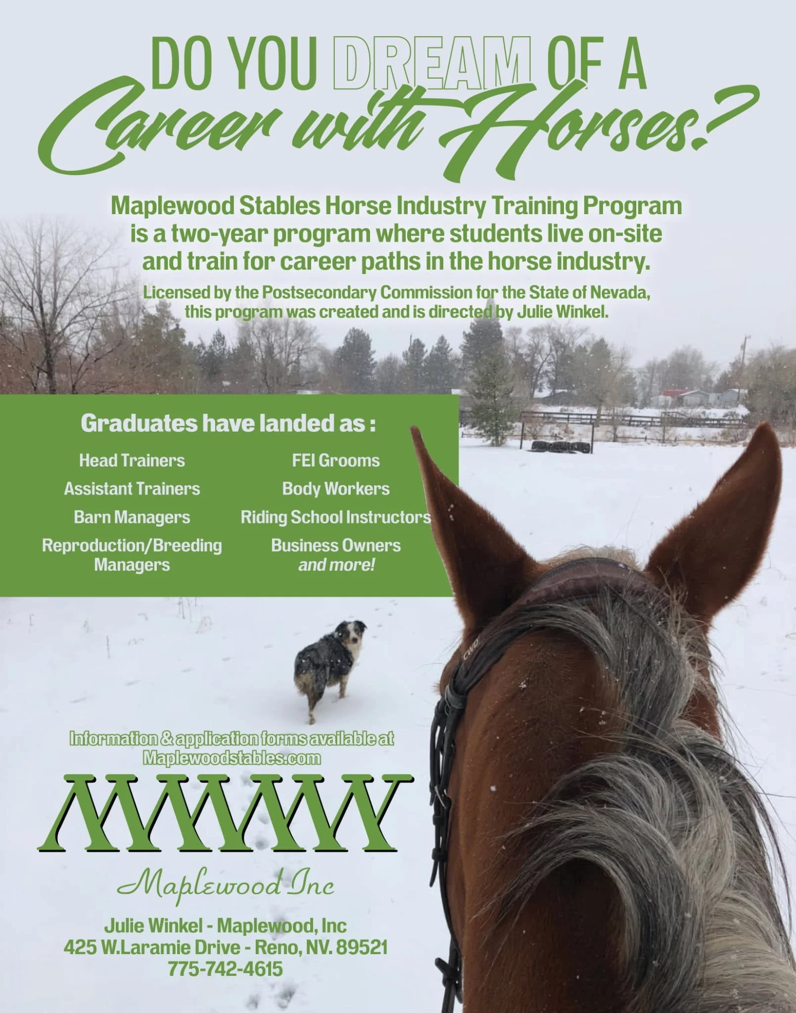 Horse Industry Training Program