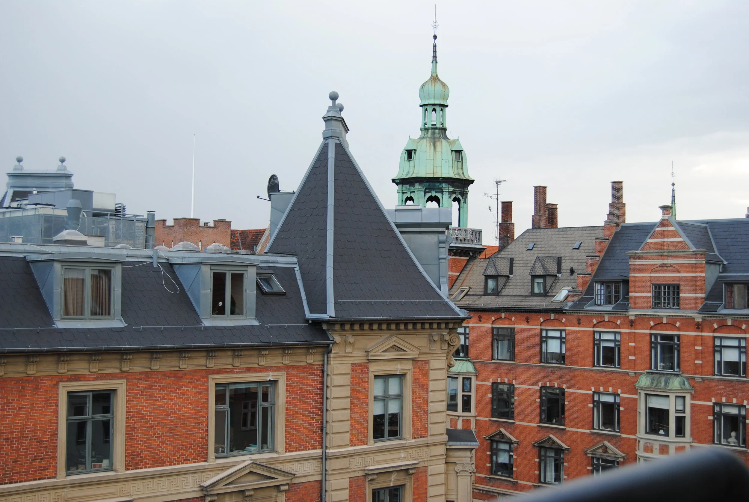 DSC_0123.JPG