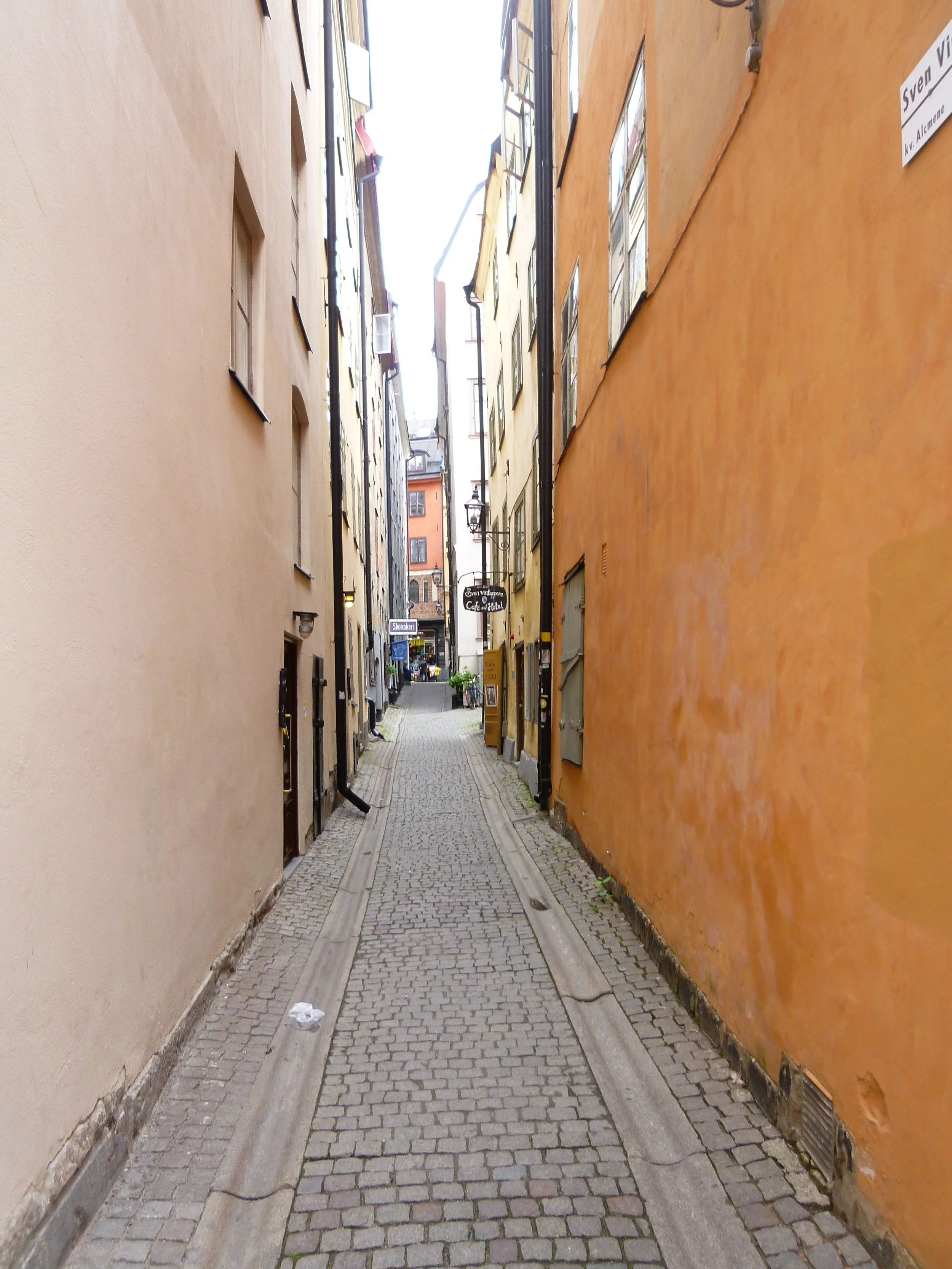 P1040324.JPG