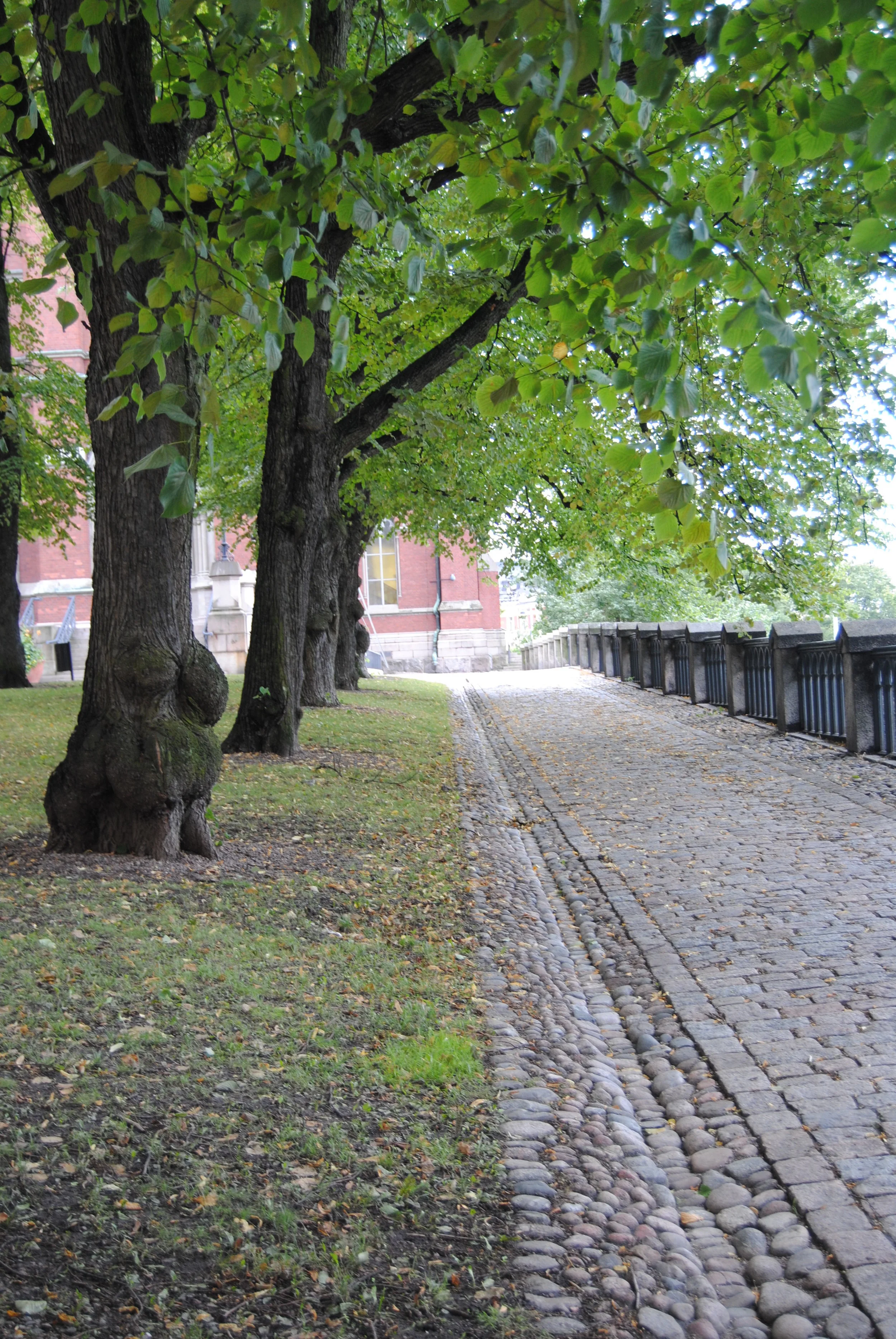 DSC_0474.JPG