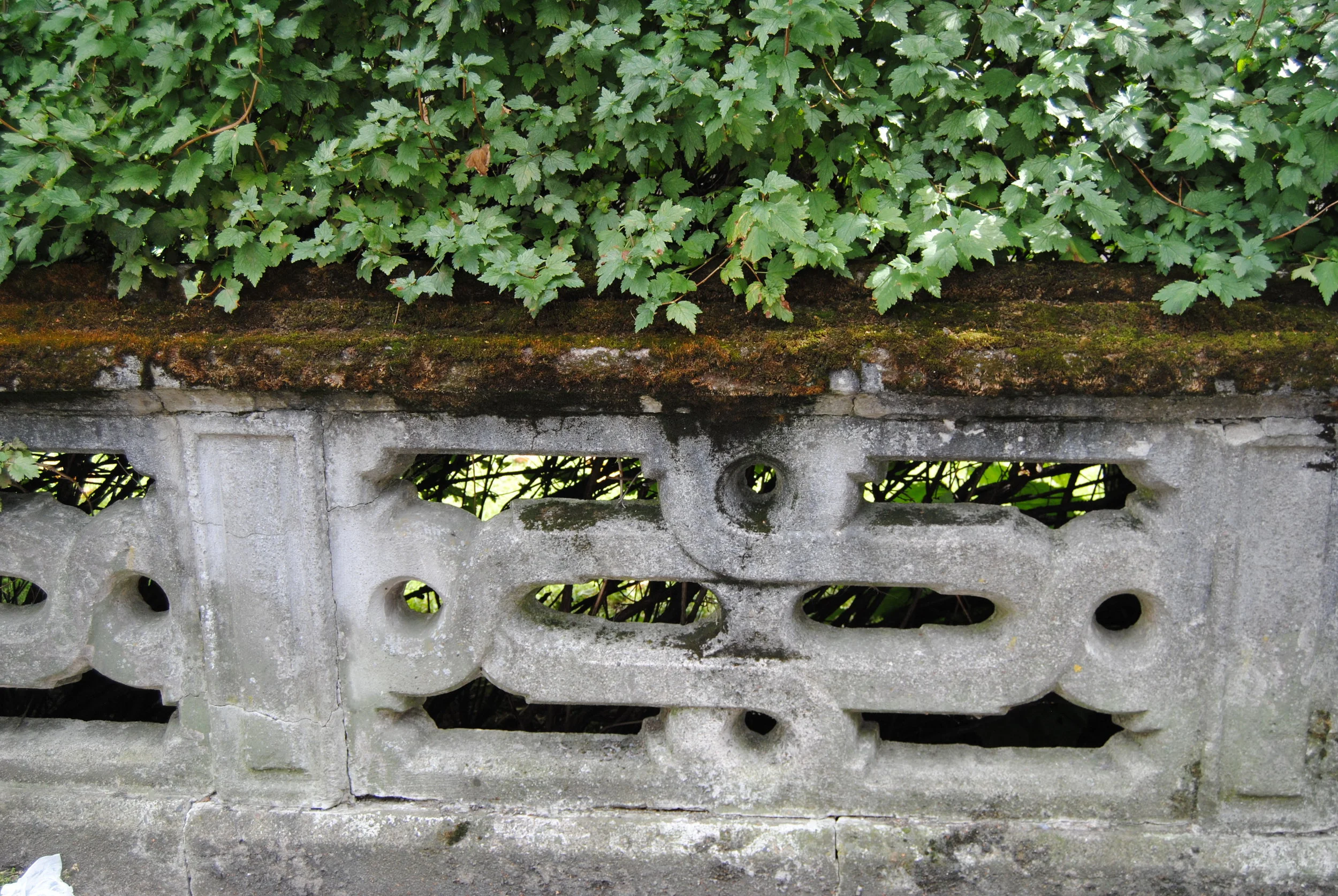 DSC_0245.JPG