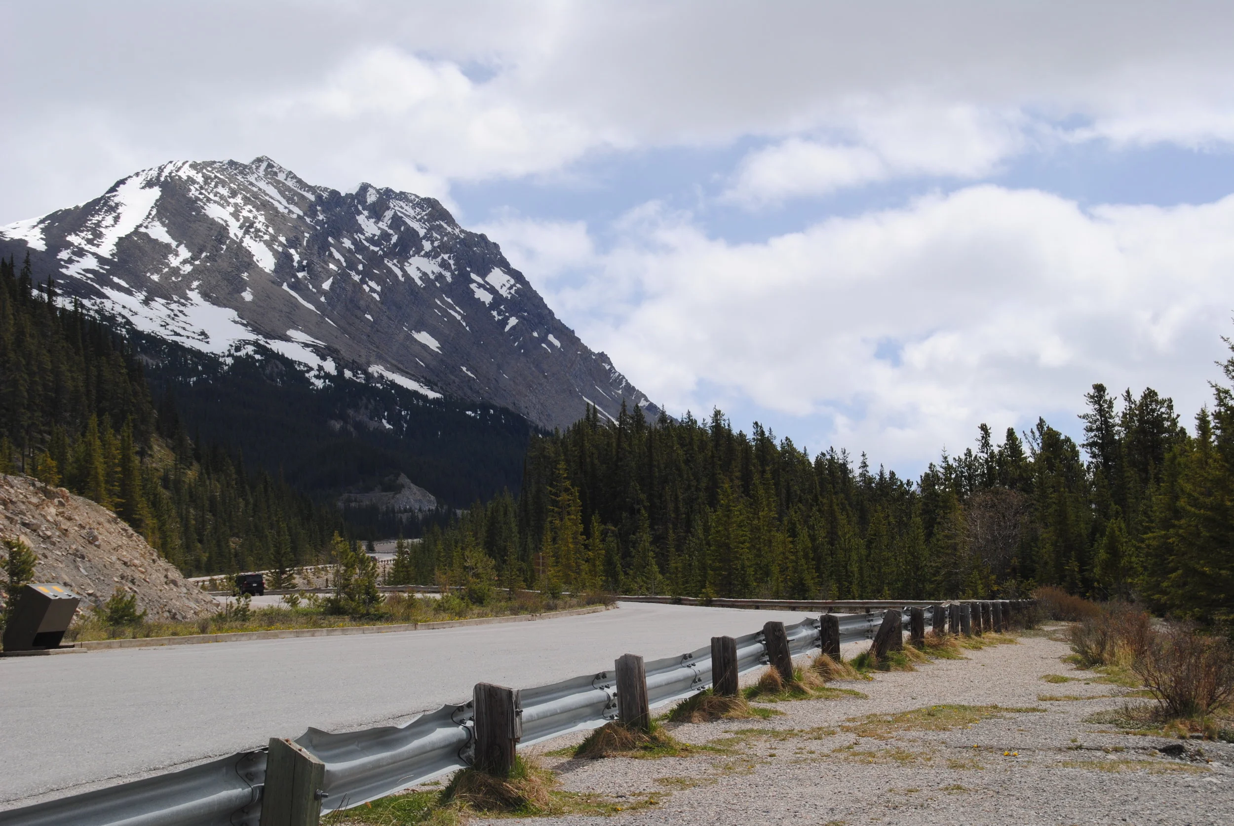 DSC_0419.JPG