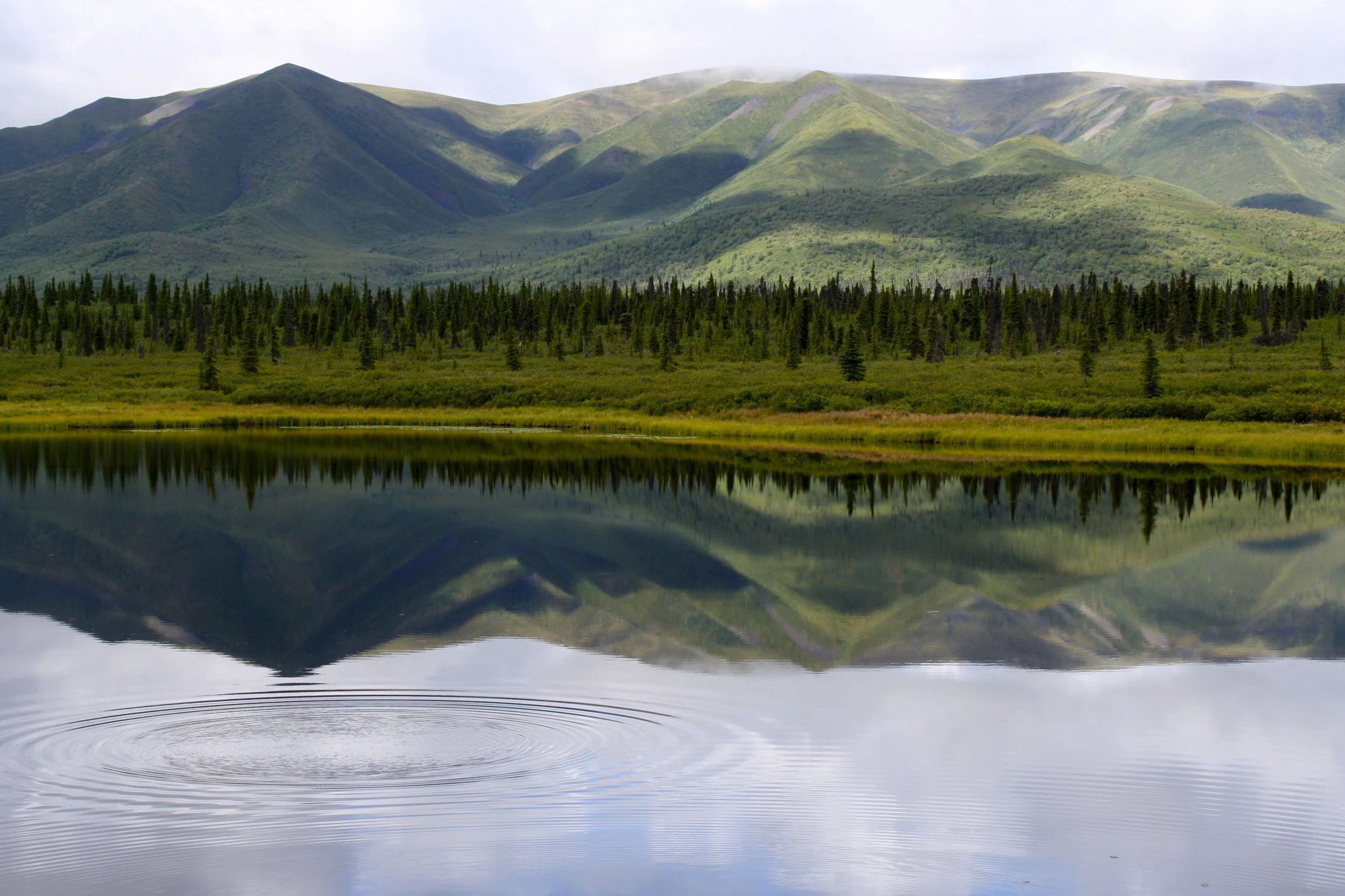 Photo #7.JPG