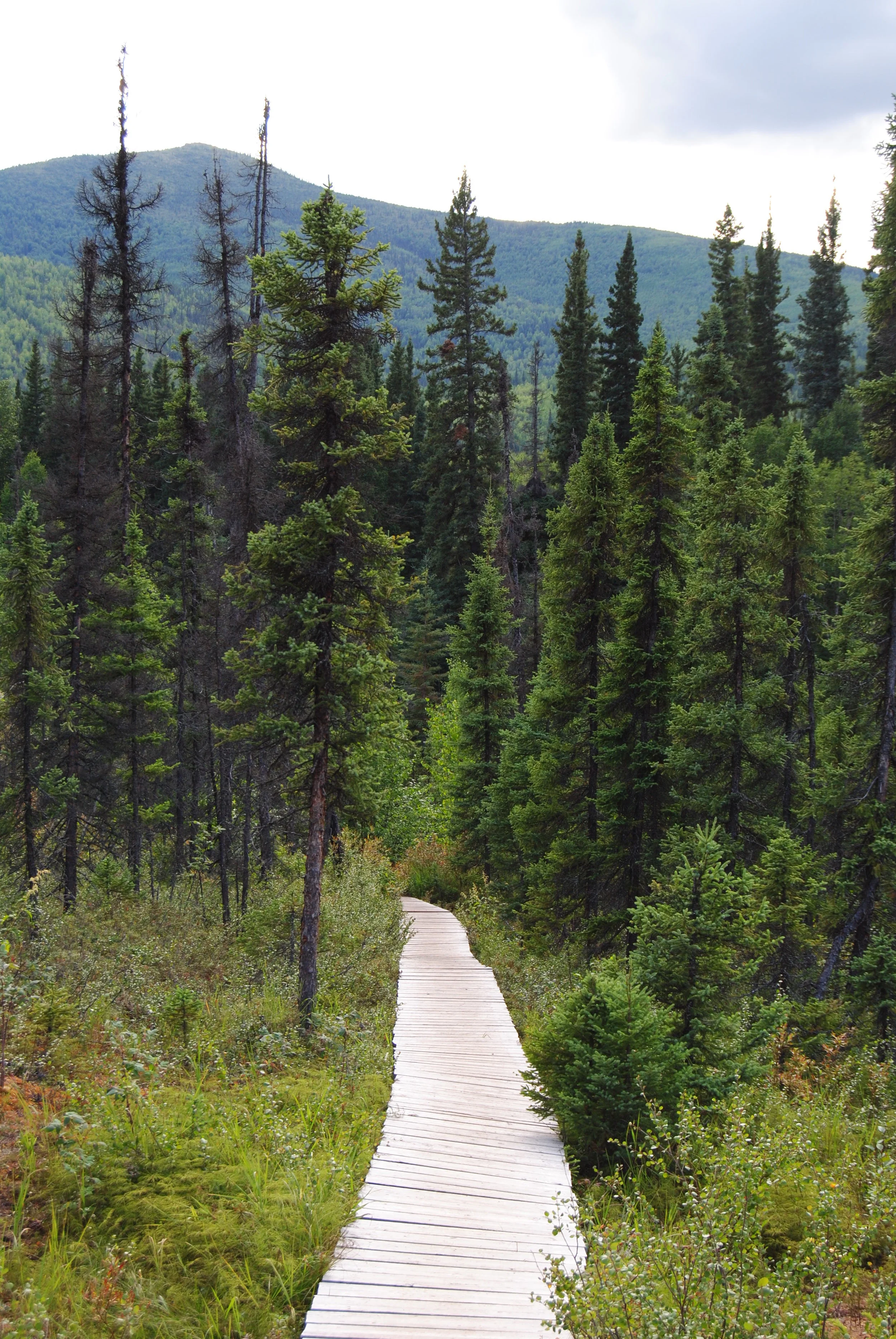 DSC_0273.JPG