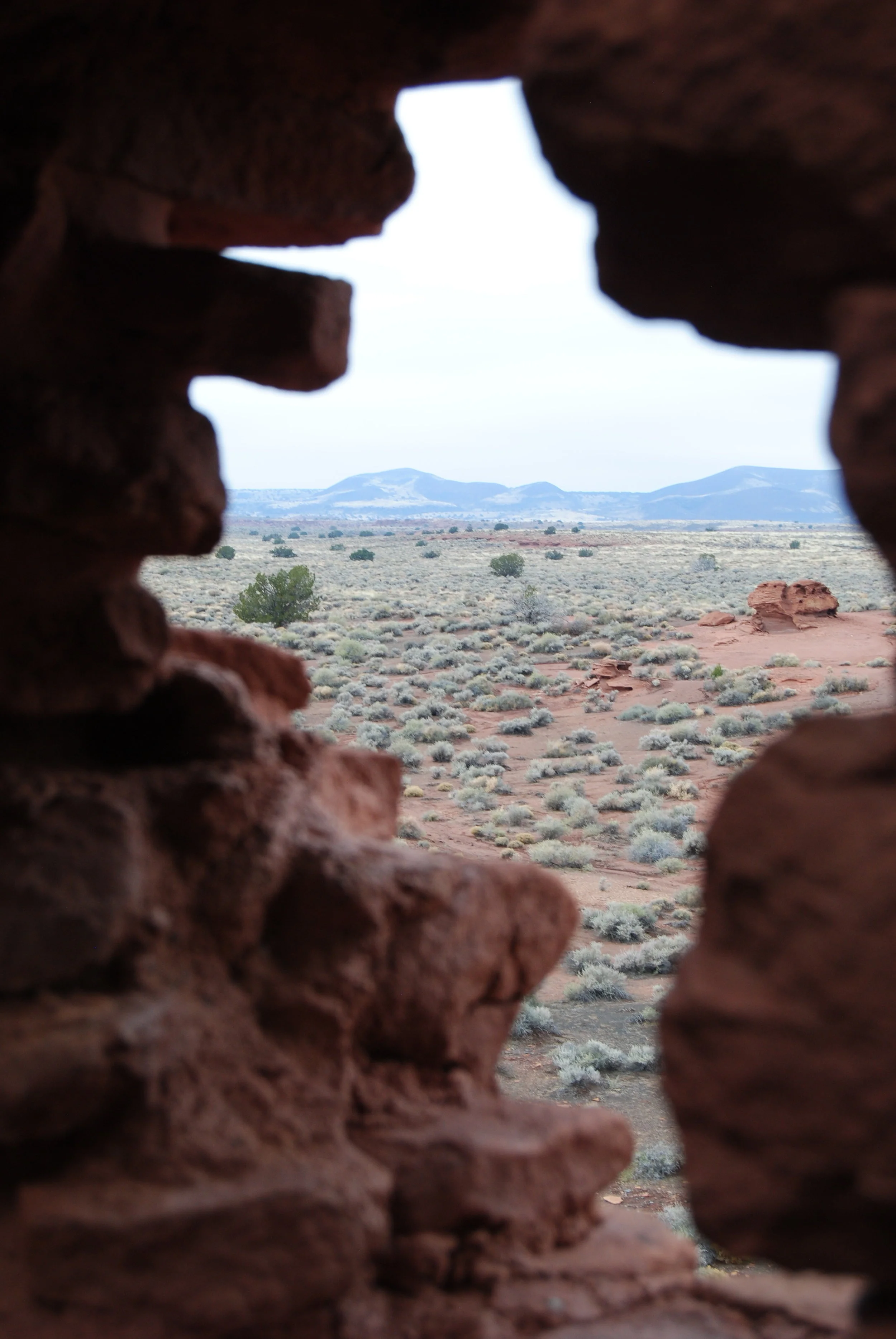 DSC_0894.JPG
