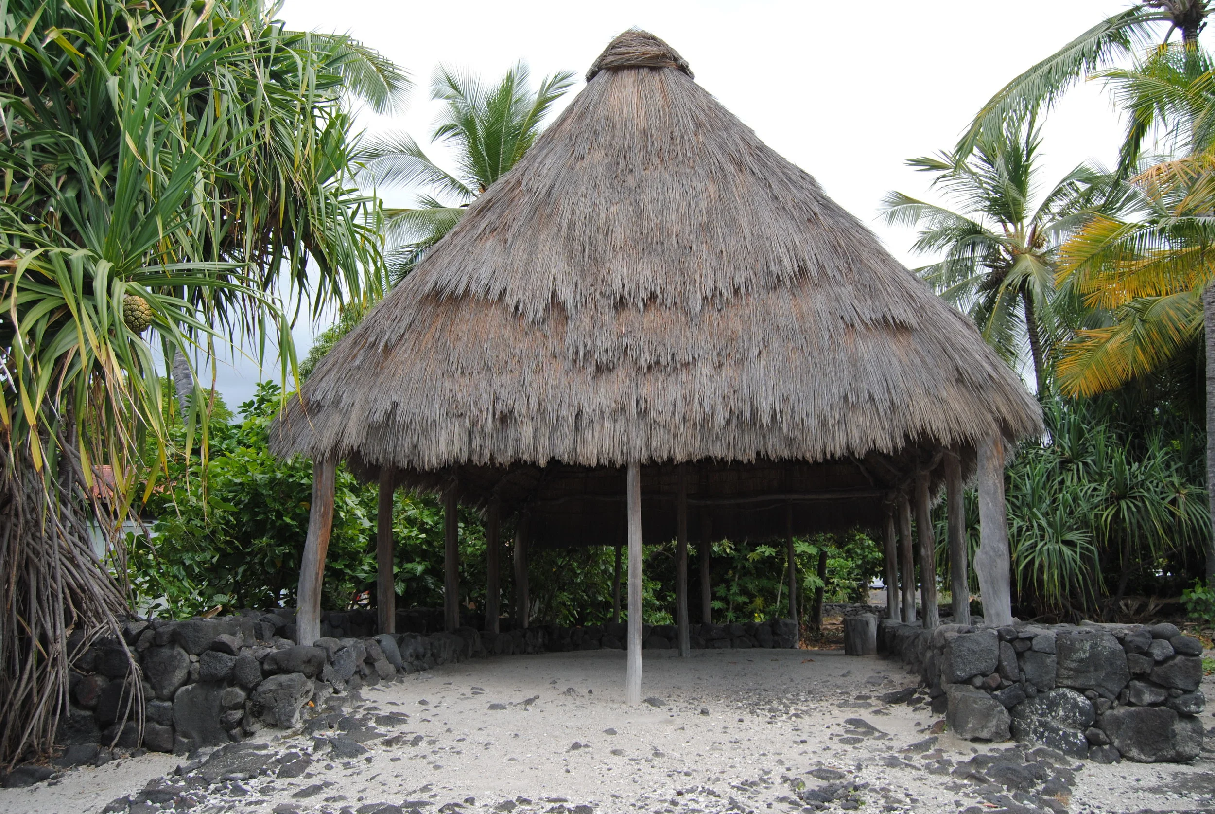 DSC_0574.JPG