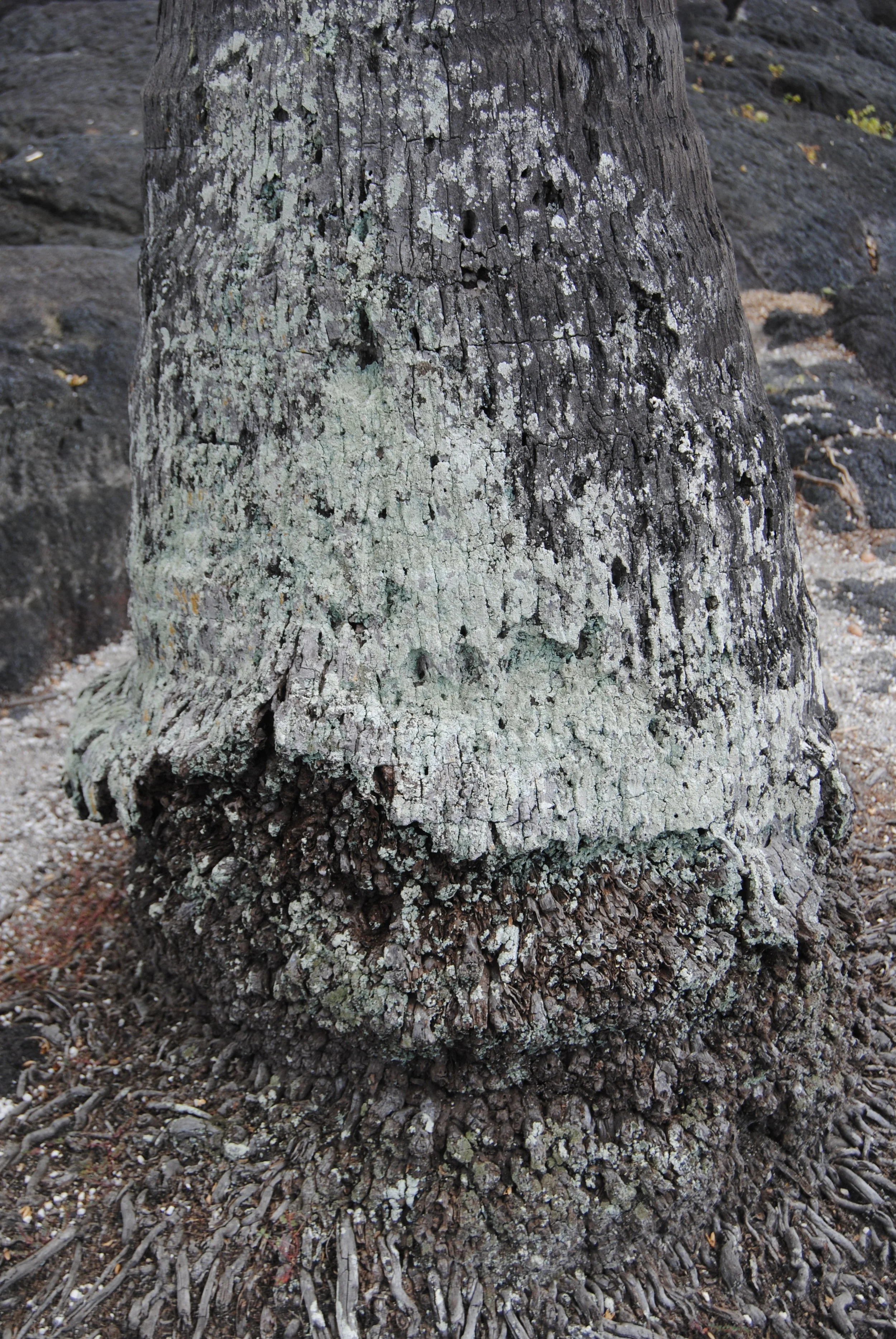 DSC_0577.JPG