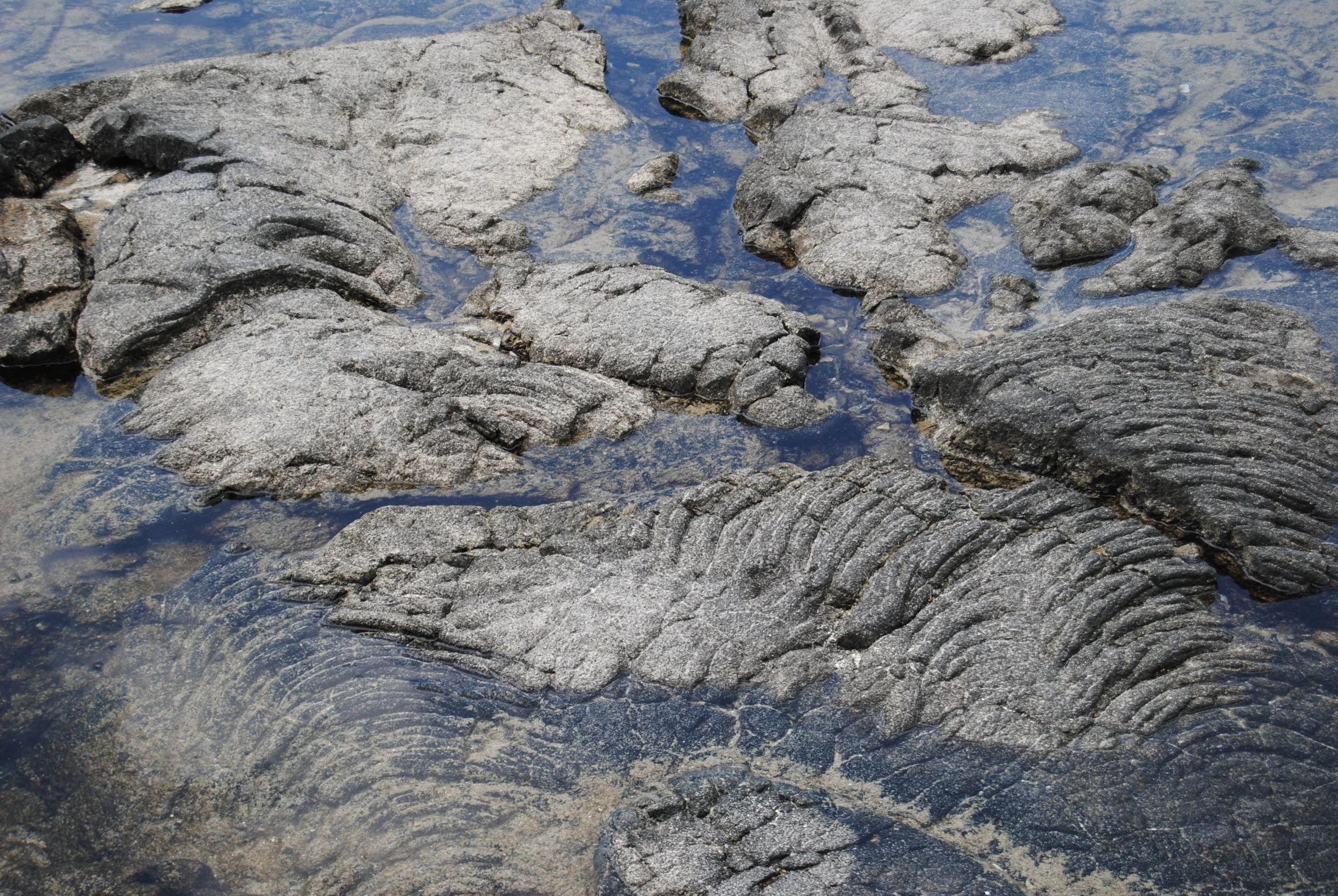 DSC_0621.JPG