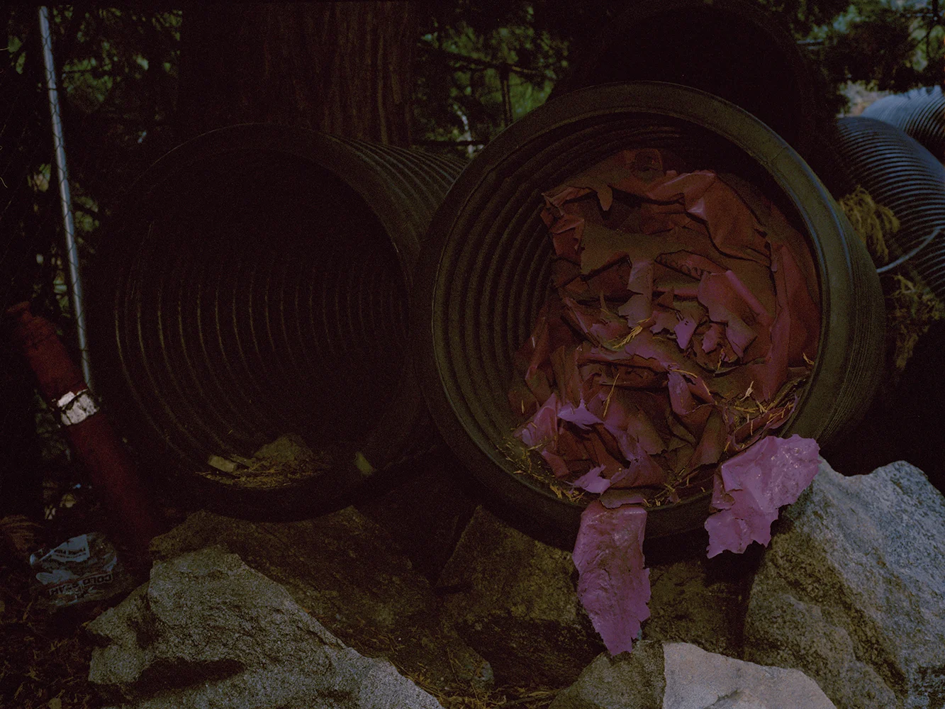 VIRGINSOIL_flaunt-17_.jpg