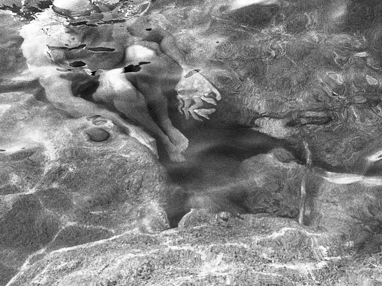 VIRGINSOIL_flaunt-10_.jpg