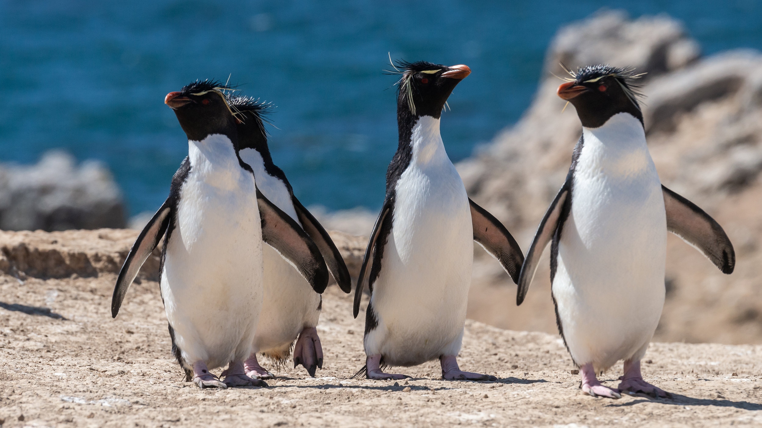 Critical Critics … Not Lazy Friends Get the right people to help improve your writing. You don’t need a pat on the back, you need feedback! Here are some notes and emails to help get started.