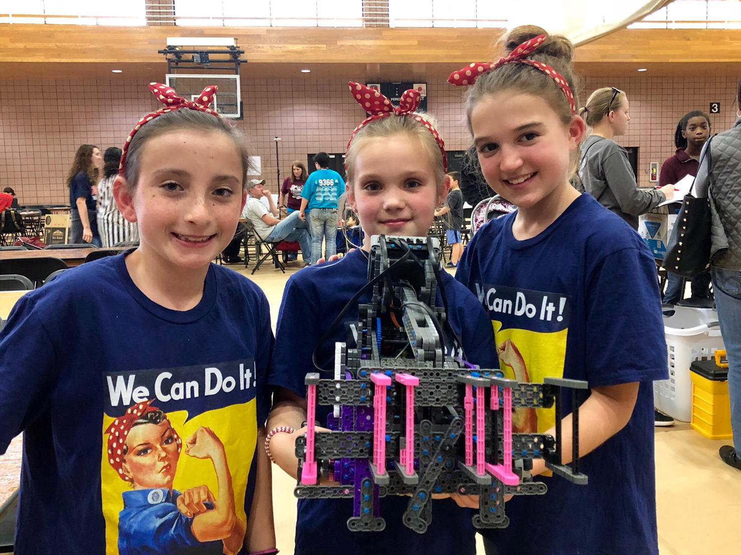 Statewide VEX Robotics