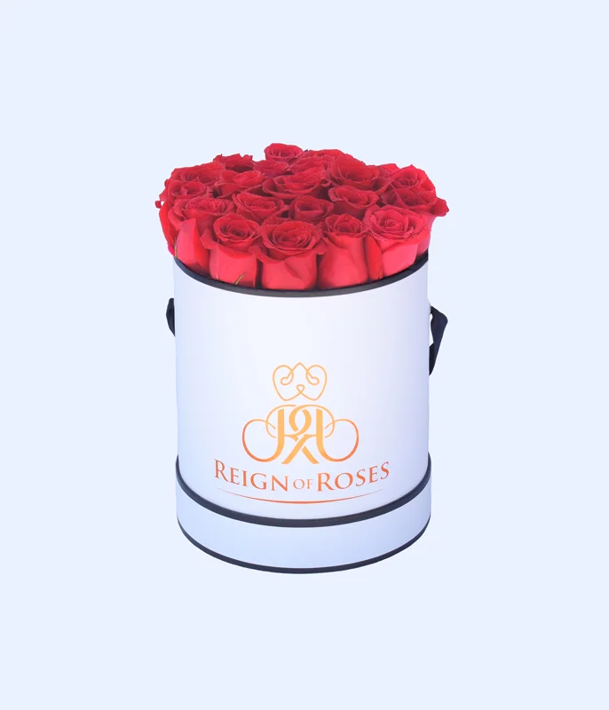 CONTESSA_RED.jpg